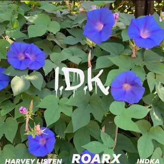 IDK by Harvey Listen