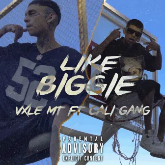 Like Biggie by Vxle Mt