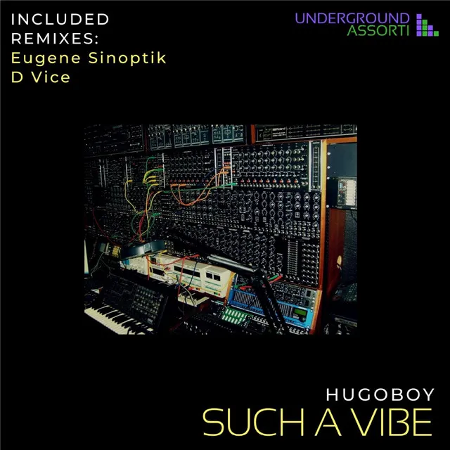 Such a Vibe - D Vice Remix