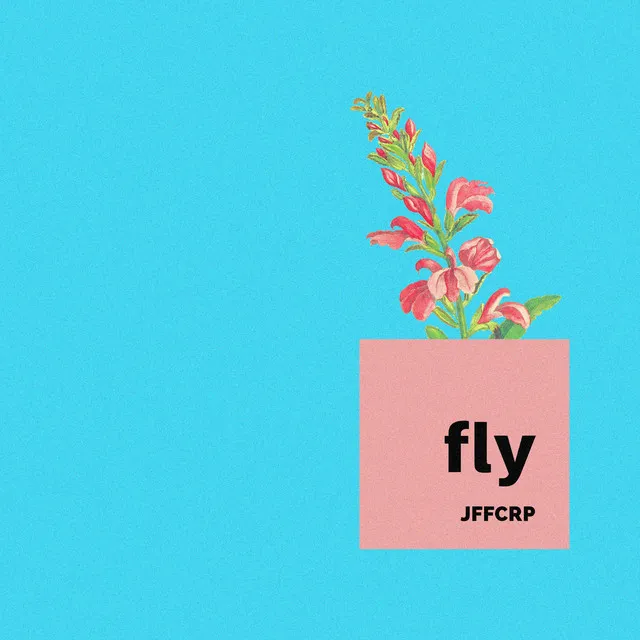 Fly