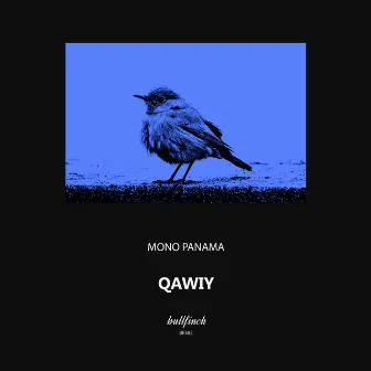 Qawiy by Mono Panama