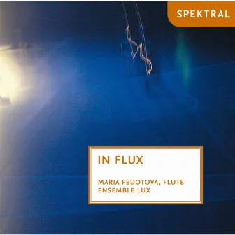 Purgina, Heinisch & Wagendristel: In Flux by ensemble LUX