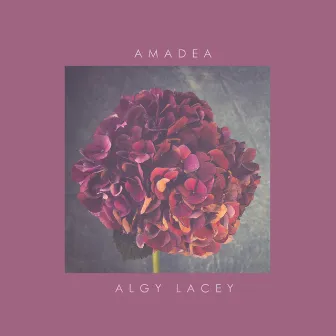 Amadea by Algy Lacey