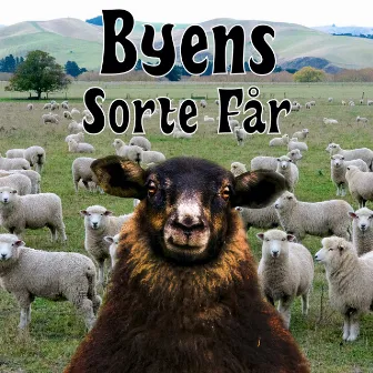 Byens Sorte Får by Sinsenprinsen