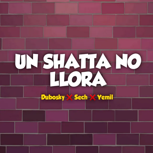 Un Shatta No Llora