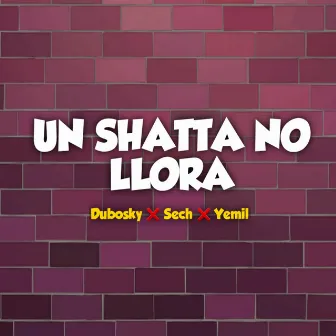 Un Shatta No Llora by Dubosky