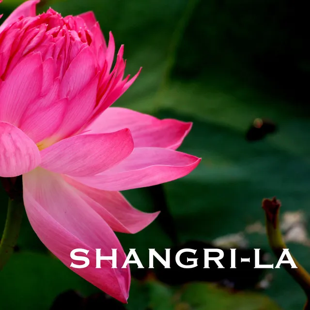 Shangri-La - Traditional Indian Meditation Music, Folk Songs, Sitar Instrumental Background for Mindfulness Meditations