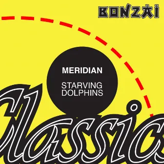 Starving Dolphins by Meridian