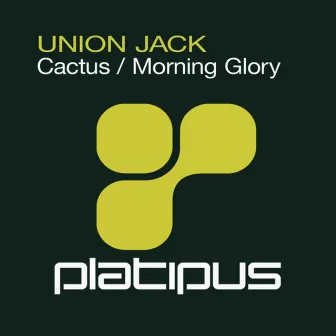 Cactus by Union Jack