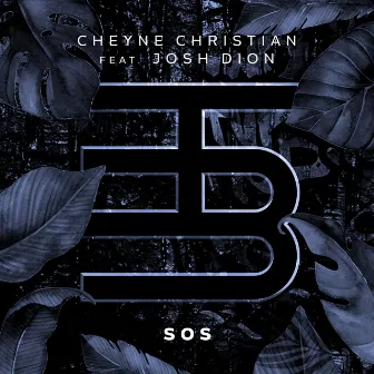 SOS by Cheyne Christian