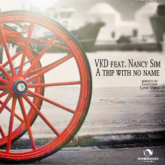 A Trip with No Name (feat. Nancy Sim) by VKD