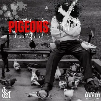 Pigeons by TAAYLEE G