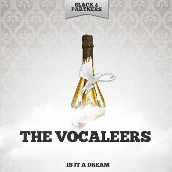 Is It A Dream by The Vocaleers