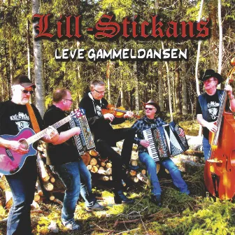 Leve gammeldansen by Lill-Stickans