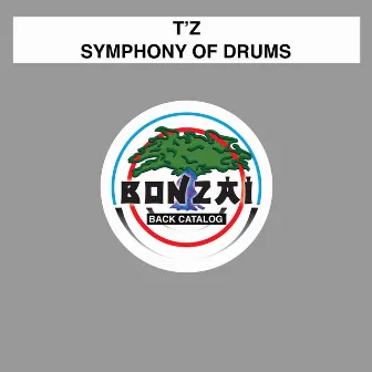 Symphony Of Drums by TZ