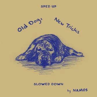 Old Dog, New Tricks (Sped Up / Slowed Down) by NAMOS