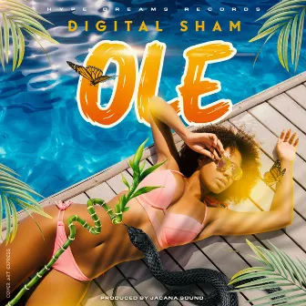 Ole by Digital Sham