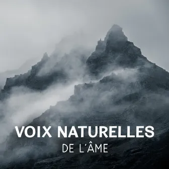 Voix naturelles de l'âme – Meilleur musique de relaxation, Son d'oiseaux, Océan et forêt pour de-stress by Collection de Musique Naturelle