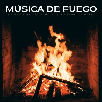 Música De Fuego: La Esencia Ardiente De La Calma Para Los Perros by Sonidos de fuego de llamas del amanecer