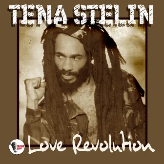 Love Revolution (LP) by Tena Stelin