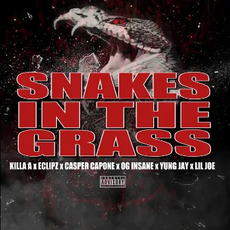 Snake in the Grass (feat. Eclipz, OG Insane, Lil Joe & Yung Jay) by Killa A