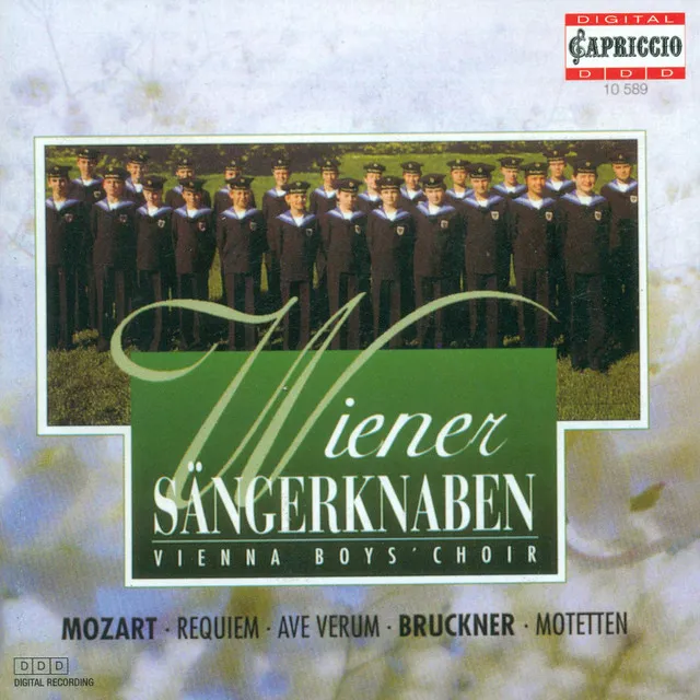 Requiem in D Minor, K. 626: Sequence No. 1: Dies Irae