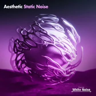 Aesthetic Static Noise by Granular White Noise