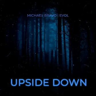 Upside Down by Michael Bravo