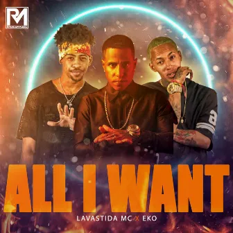 All I Want by EKO