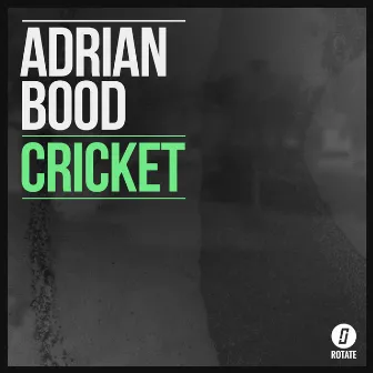 Cricket by Adrian Bood