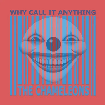 Why Call It Anything by The Chameleons