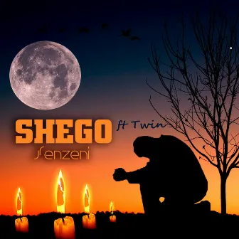 Senzeni by Shego