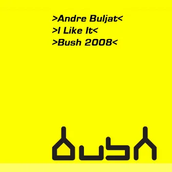 I Like It by andre buljat