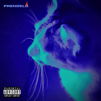 Préndelo by Alldo