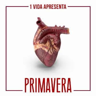 Primavera by 1VIDA