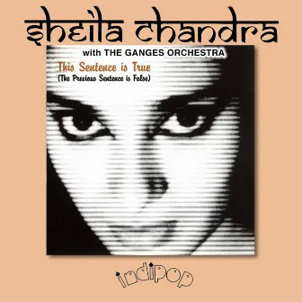 This Sentence Is True (The Previous Sentence Is False) by The Ganges Orchestra