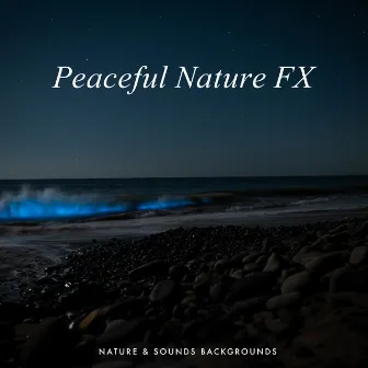 Peaceful Nature FX by Nature Sounds & Backgrounds