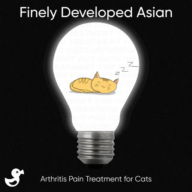 Arthritis Pain Treatment for Cats