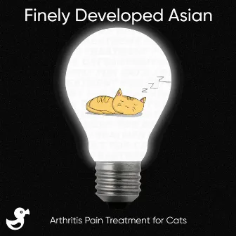 Arthritis Pain Treatment for Cats by Unknown Artist