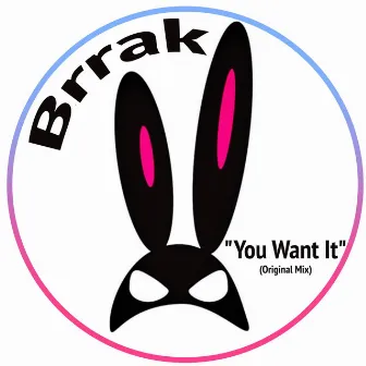 You Want It by Brrak