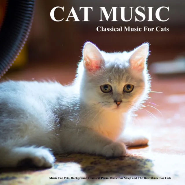 Music For Pets