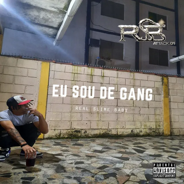 Eu Sou de Gang