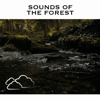 Sounds of The Forest by Unknown Artist