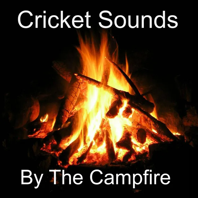 Crickets Tinnitus Relaxation