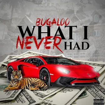 What I Never Had by Bugaloo