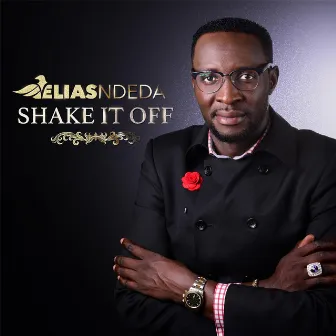 Shake It Off by Elias Ndeda