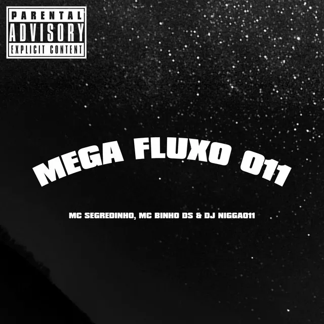 Mega Fluxo 011