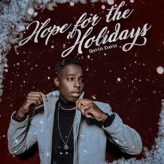 Hope for the Holidays by David Davis