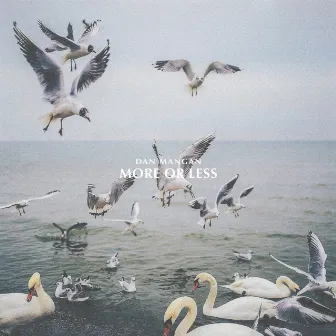 More or Less by Dan Mangan