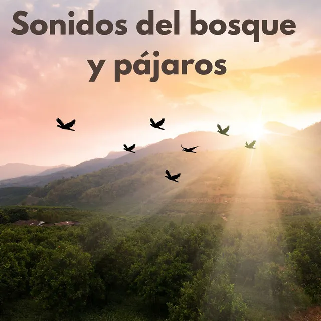 Sonidos del bosque y pájaros